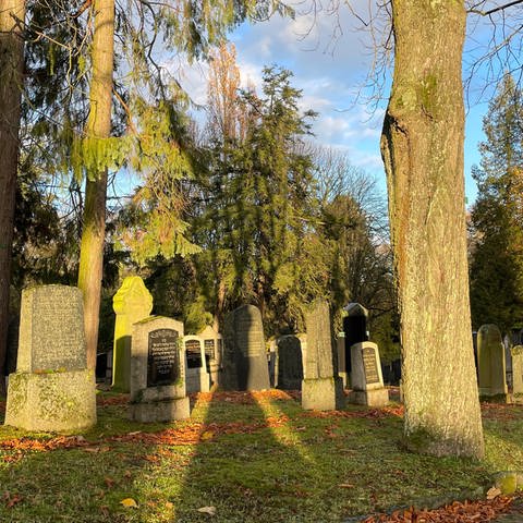 Der jüdische Friedhof in Mainz (Foto: SWR, Golo Schlenk)